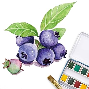 Amazon.co.jp: PHOENIX アーティストグレード水彩絵具セット